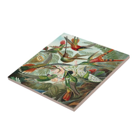 Hummingbird Tile Tegeltje (Zijkant)