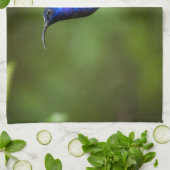 HUMMINGBIRD TOWELS THEEDOEK (Gevouwen)