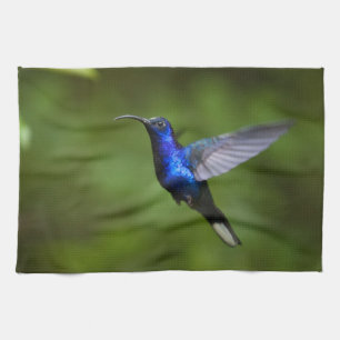 HUMMINGBIRD TOWELS THEEDOEK
