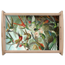 Hummingbird Tray