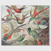 Hummingbird, Trochilidae Kolibris, door Ernst Haec Cadeaupapier (Vlak)