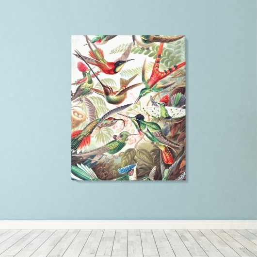 Hummingbird, Trochilidae Kolibris, door Ernst Haec Canvas Afdruk (Insitu (Houten vloer))