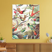 Hummingbird, Trochilidae Kolibris, door Ernst Haec Canvas Afdruk (Insitu (Woonkamer))