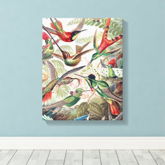 Hummingbird, Trochilidae Kolibris, door Ernst Haec Canvas Afdruk (Insitu (Houten vloer))