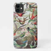 Hummingbird, Trochilidae Kolibris, door Ernst Haec Case-Mate iPhone Case (Achterkant)