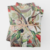 Hummingbird, Trochilidae Kolibris, door Ernst Haec Inpakpapier Vel (In situ)