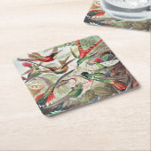 Hummingbird, Trochilidae Kolibris, door Ernst Haec Kartonnen Onderzetters (Schuin)