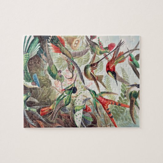 Hummingbird, Trochilidae Kolibris, door Ernst Haec Legpuzzel (Horizontaal)