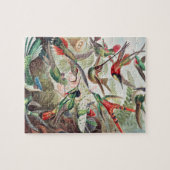 Hummingbird, Trochilidae Kolibris, door Ernst Haec Legpuzzel (Horizontaal)