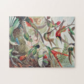 Hummingbird, Trochilidae Kolibris, door Ernst Haec Legpuzzel (Horizontaal)