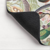 Hummingbird, Trochilidae Kolibris, door Ernst Haec Muismat (Hoek)