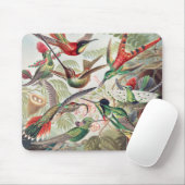 Hummingbird, Trochilidae Kolibris, door Ernst Haec Muismat (Met muis)