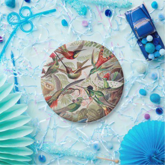 Hummingbird, Trochilidae Kolibris, door Ernst Haec Papieren Bordje (Feest)