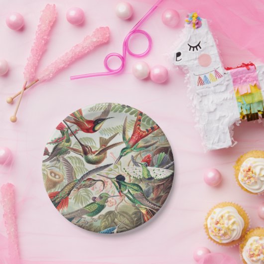 Hummingbird, Trochilidae Kolibris, door Ernst Haec Papieren Bordje (Feest)