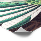 Hummingbird, Trochilidae Kolibris, door Ernst Haec Poster (Hoek)