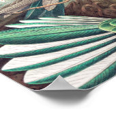 Hummingbird, Trochilidae Kolibris, door Ernst Haec Poster (Hoek)