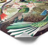 Hummingbird, Trochilidae Kolibris, door Ernst Haec Poster (Hoek)