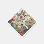 Hummingbird, Trochilidae Kolibris, door Ernst Haec Servet (Hoek)