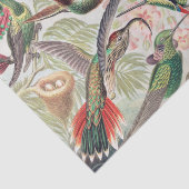Hummingbird, Trochilidae Kolibris, door Ernst Haec Tissuepapier (Detail)