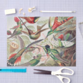 Hummingbird, Trochilidae Kolibris, door Ernst Haec Tissuepapier (Craft)