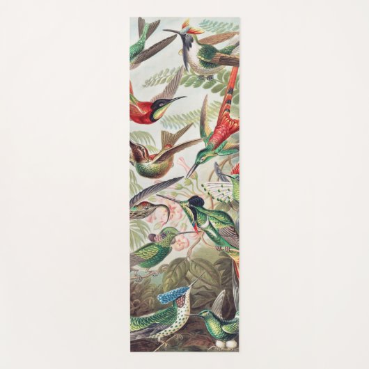 Hummingbird, Trochilidae Kolibris, door Ernst Haec Yogamat (Voorkant)