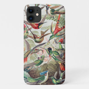 Hummingbird, Trochilidae Kolibris door Ernst Haeck Case-Mate iPhone Case