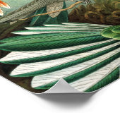 Hummingbird (Trochilidae) van het Poster Haeckel (Hoek)