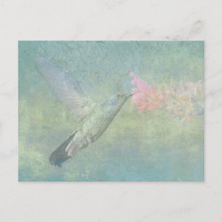 Hummingbird Tune Briefkaart