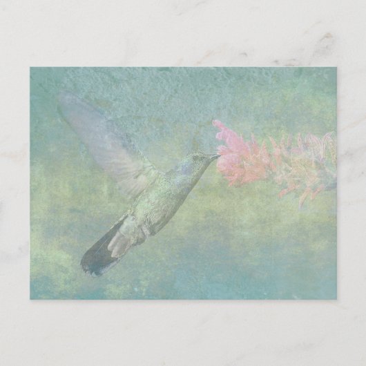 Hummingbird Tune Briefkaart (Voorkant)
