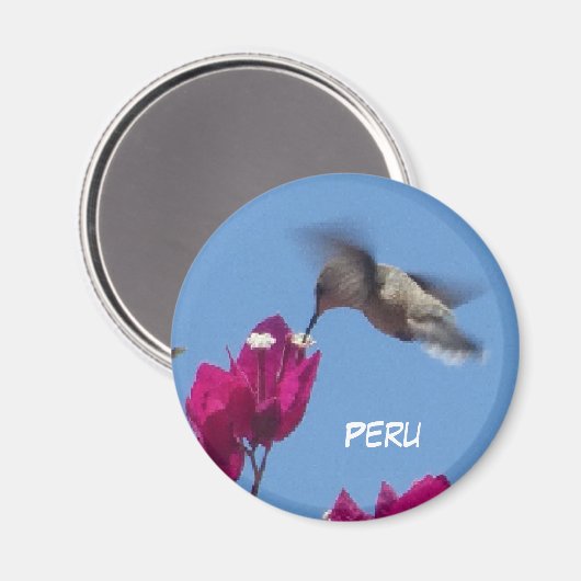 Hummingbird uit Peru Magnet (Voorkant / Achterkant)
