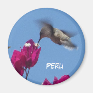 Hummingbird uit Peru Magnet
