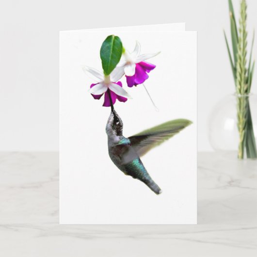 Hummingbird Valentijn Card Feestdagen Kaart (Voorkant)