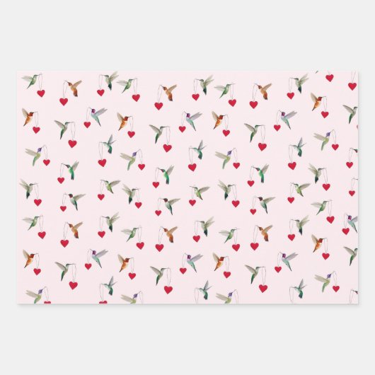 Hummingbird Valentine's Inpakpapier Vel (Voorkant)