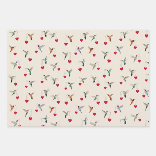 Hummingbird Valentine's Inpakpapier Vel (Voorkant)