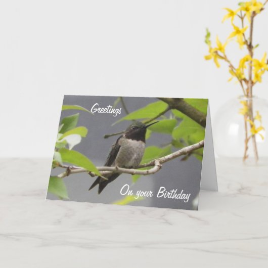 Hummingbird Verjaardag Groeten Kaart (Gele Bloem)