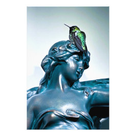 hummingbird view Photo Enlargement Foto Afdruk