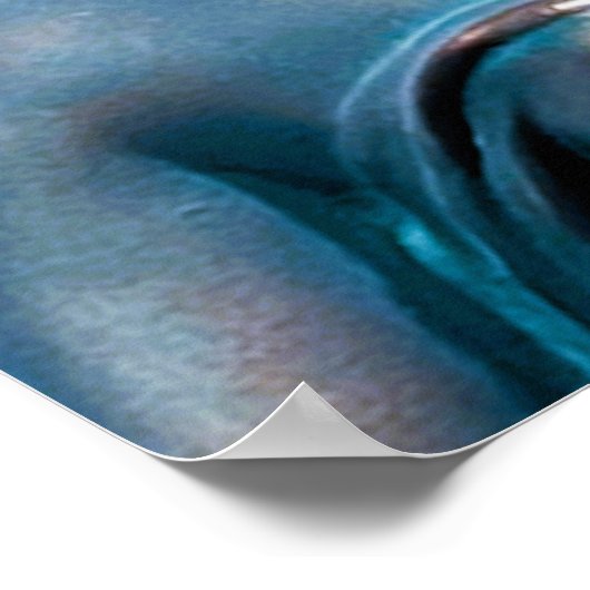 hummingbird view Poster (Hoek)