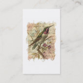  Hummingbird Visitekaartje (Achterkant)