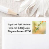 Hummingbird vroeg in de ochtend etiket (Insitu)