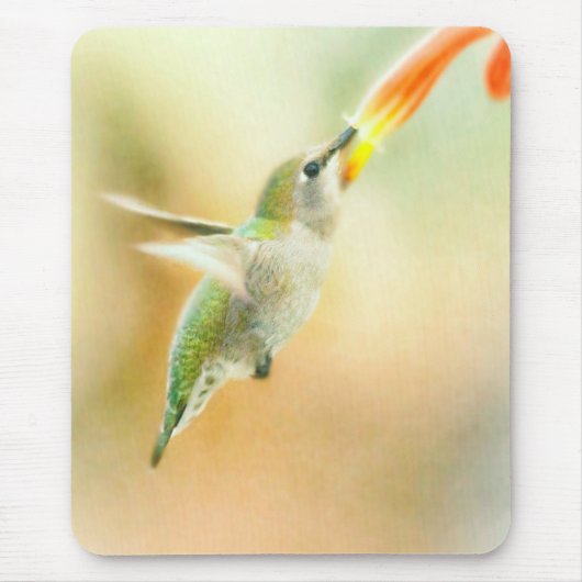 Hummingbird vroeg in de ochtend muismat (Voorkant)
