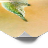 Hummingbird vroeg in de ochtend poster (Hoek)