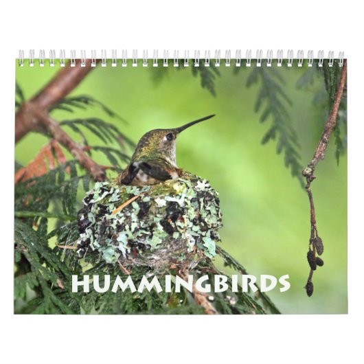 Hummingbird Wall Agenda Kalender (Hoes)