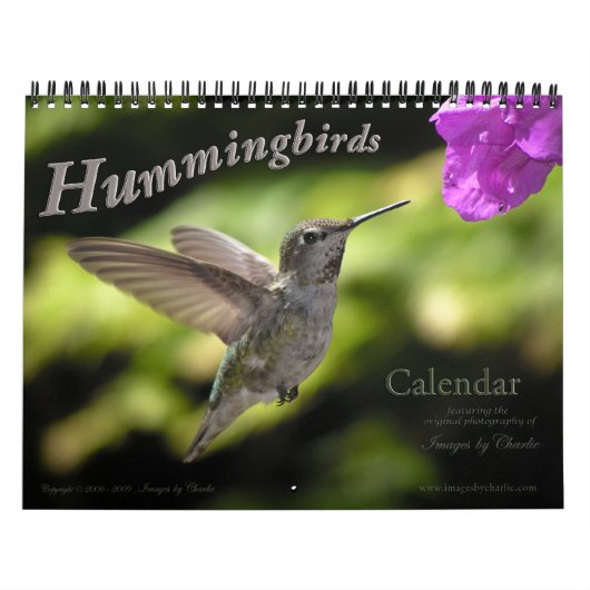 Hummingbird Wall Agenda Kalender (Hoes)
