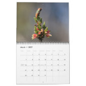 Hummingbird Wall Agenda Kalender (Mar 2027)