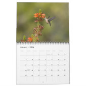 Hummingbird Wall Agenda Kalender (Jan 2026)