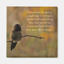 Hummingbird Warm Colors Inspirerend Quote