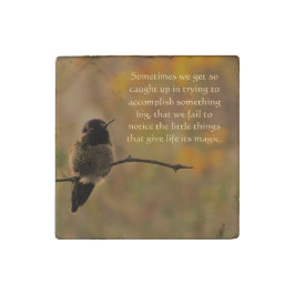 Hummingbird Warm Colors Inspirerend Quote Stenen Magneet