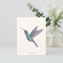 Hummingbird Watercolor