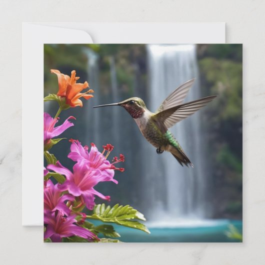 Hummingbird Waterfall Park, Bedankkaart (Achterkant)