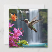 Hummingbird Waterfall Park, Bedankkaart (Voorkant)